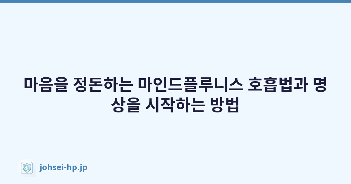 마음을 정돈하는 마인드플루니스 호흡법과 명상을 시작하는 방법